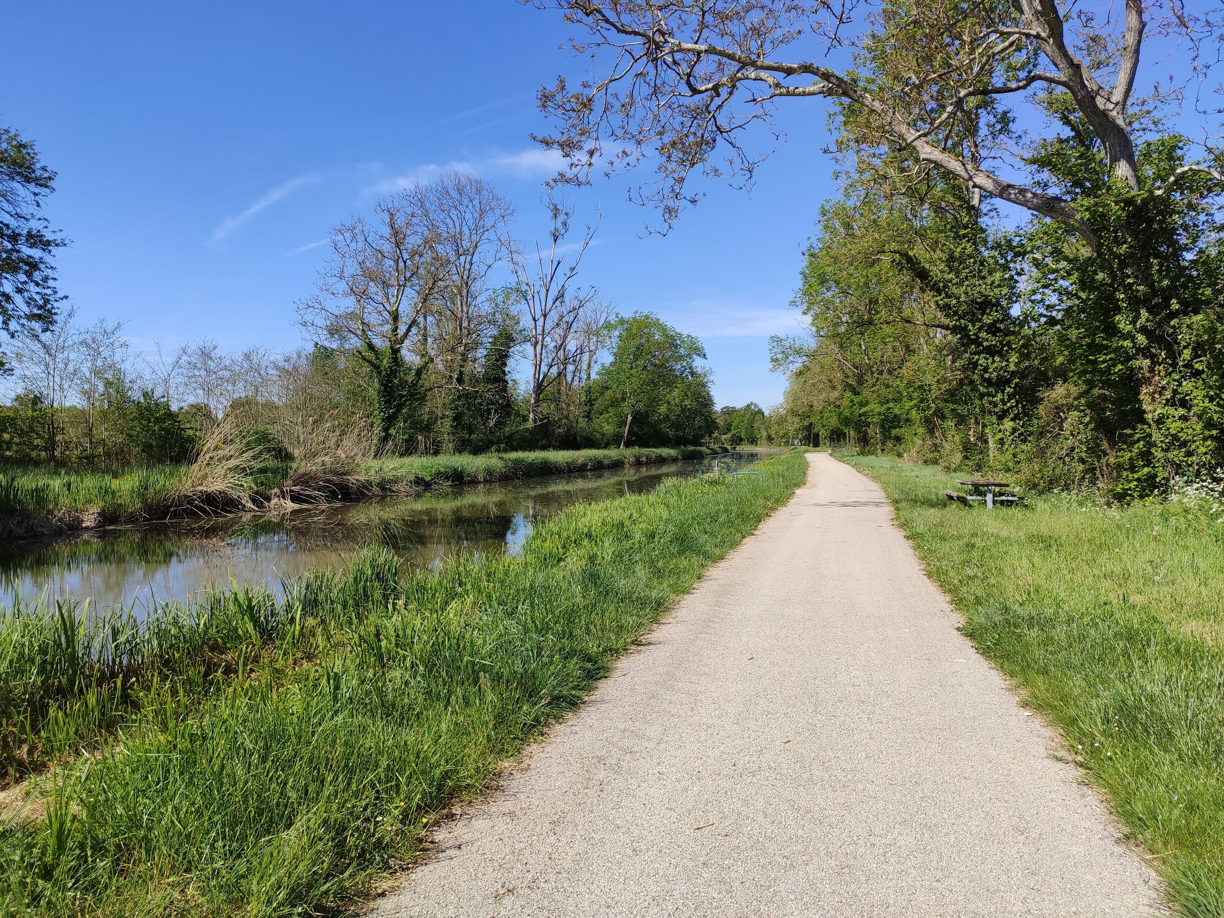 Canal d'Orléans