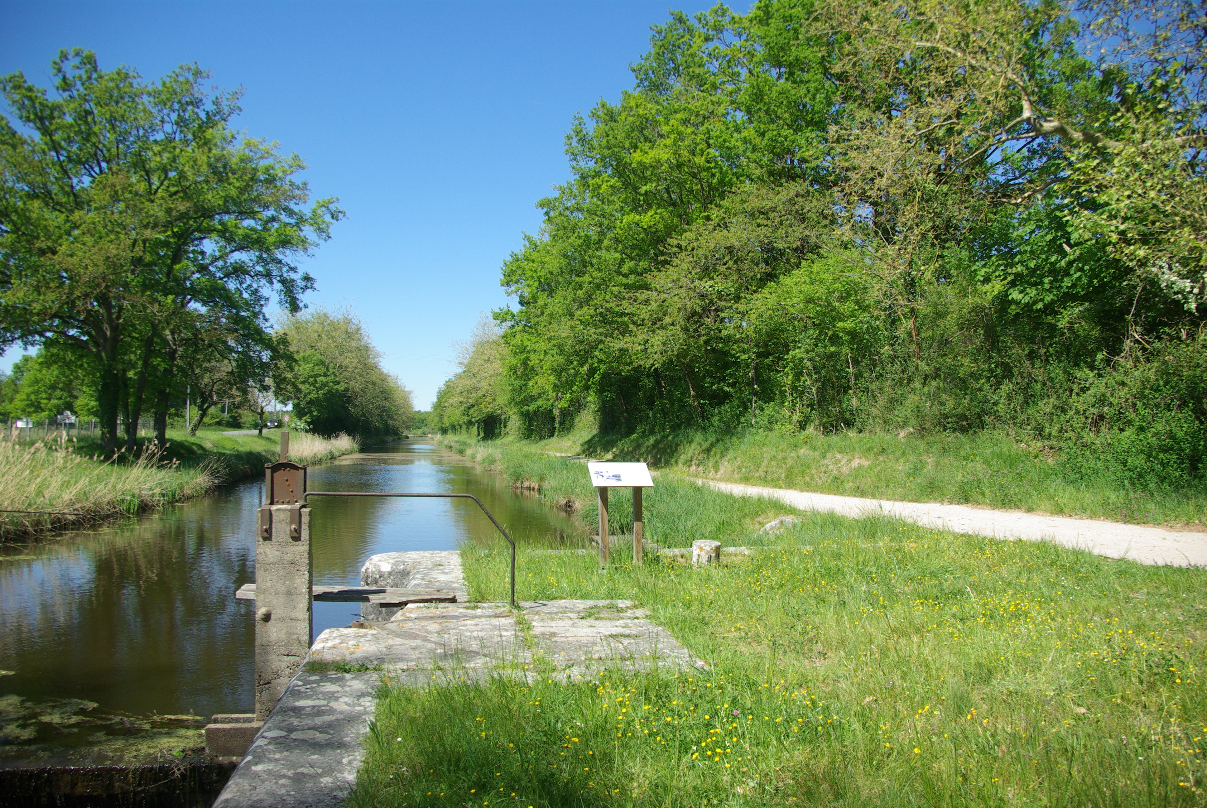 Canal d'Orléans