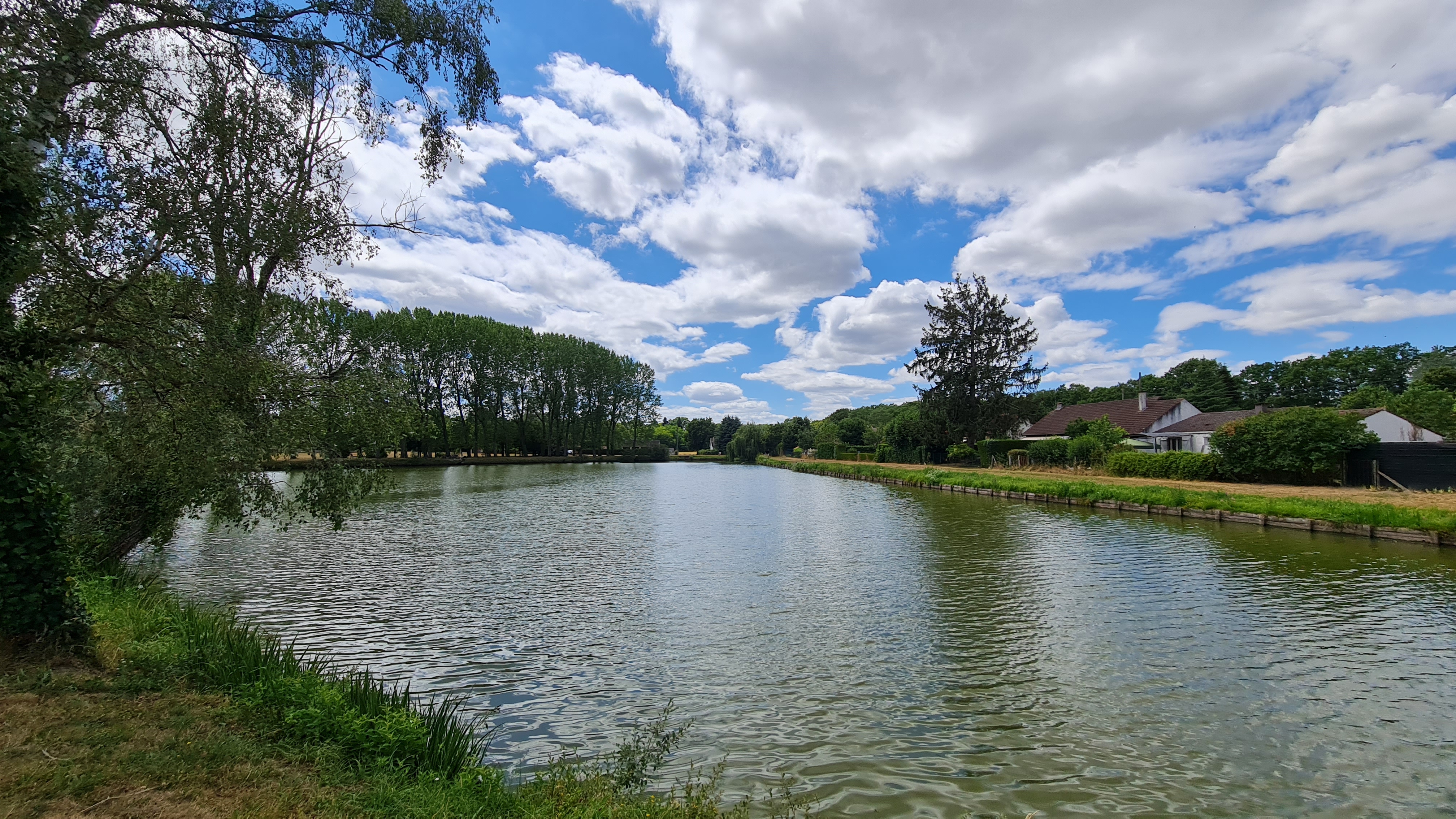 Etangs communaux de Saint Florent le Jeune