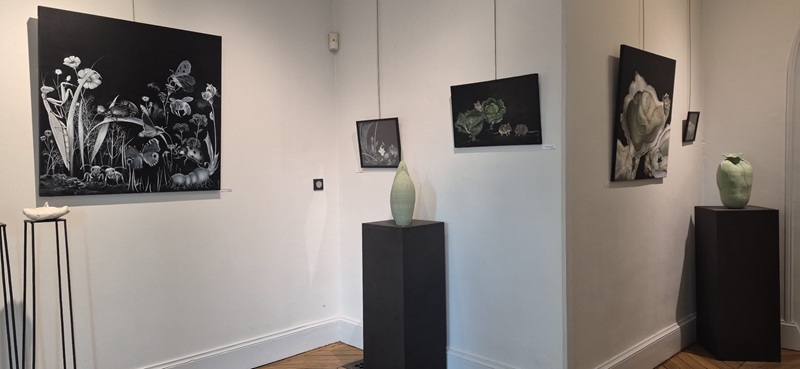 Exposition à la Maison de Loire : Harmonie sauvage