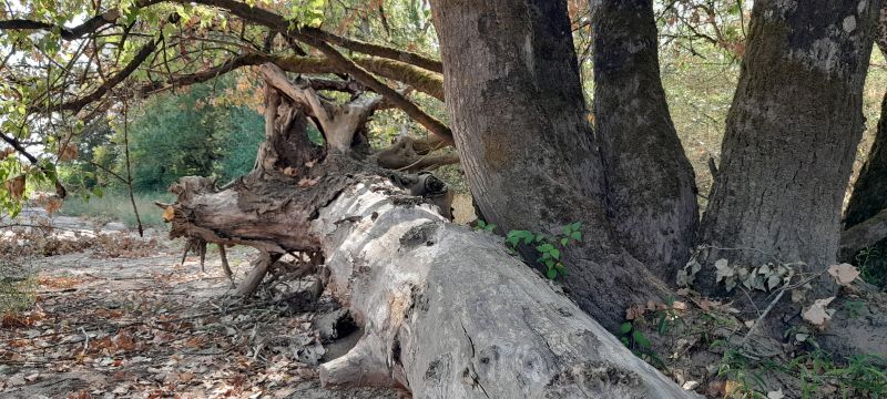 L'Espace Naturel Sensible : « Îles de la Gargaude »