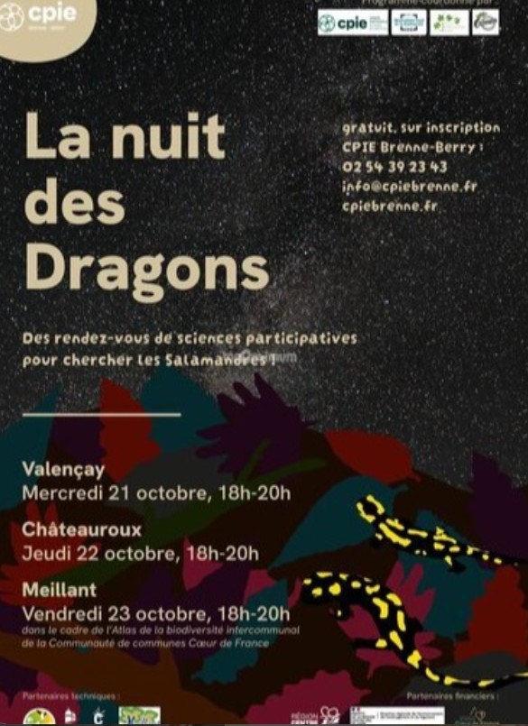La nuit des dragons