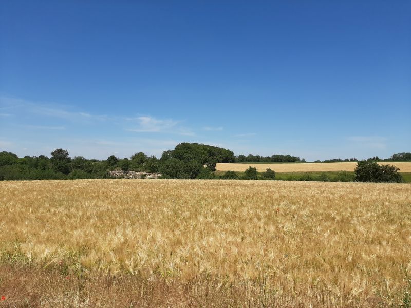 21 - Boucle de l'Oppidum - La Groutte, La Groutte