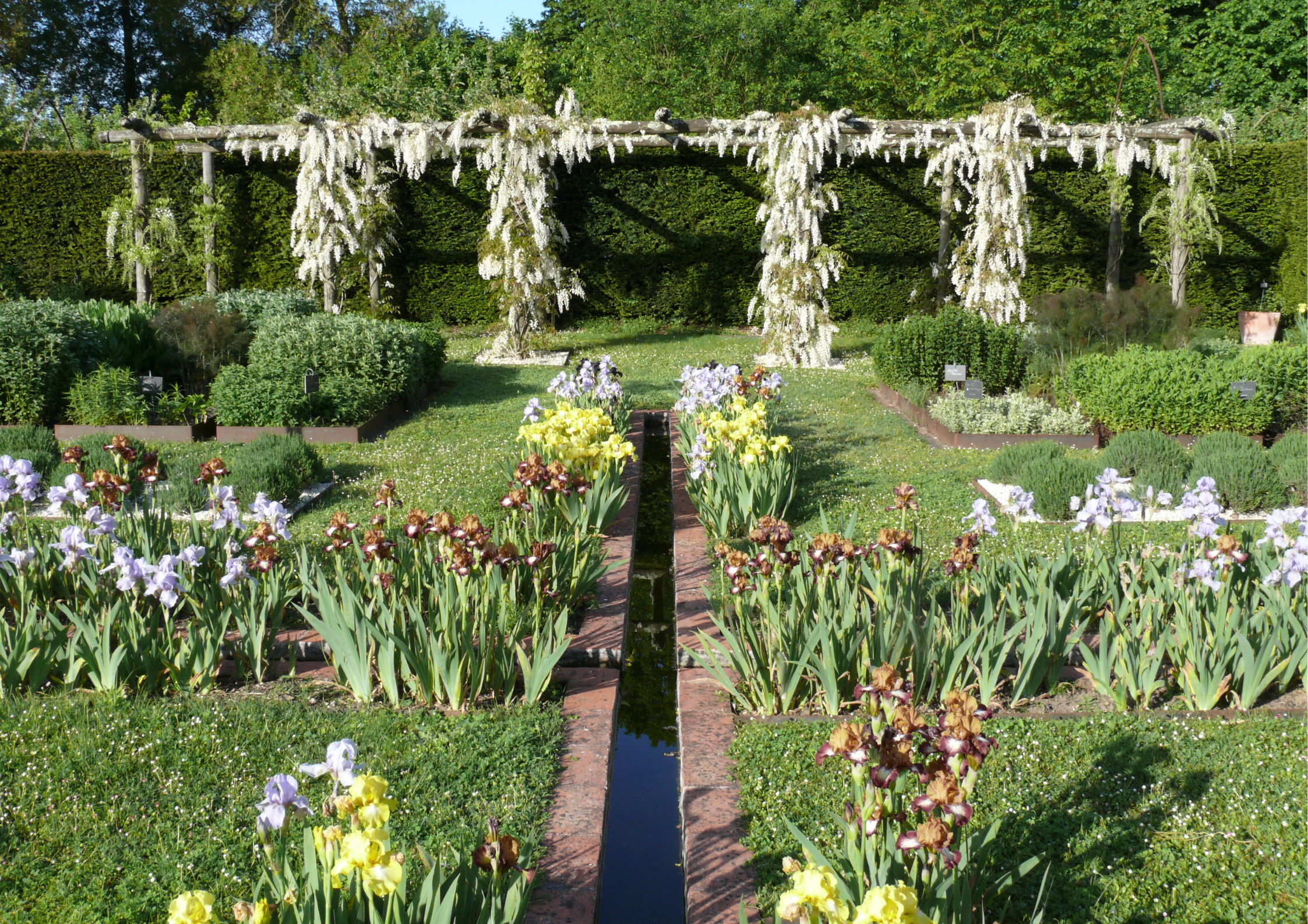 Domaine de Poulaines : Jardins et Arboretum, Poulaines - photo 13