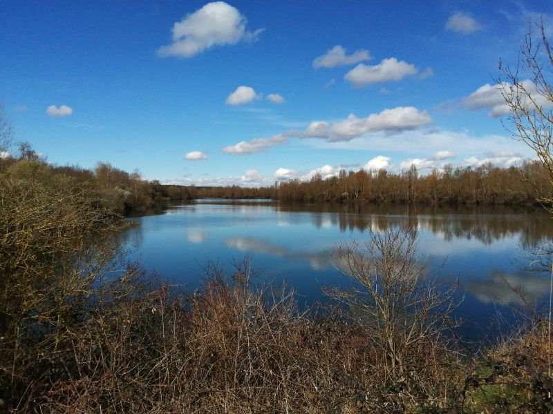 22 - Boucle de l'étang de Vougon