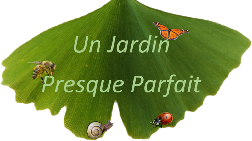 Un Jardin Presque Parfait  France Centre-Val de Loire Loiret La Selle-sur-le-Bied 45210