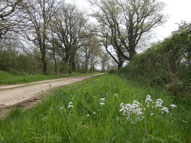 23 - Boucle des Chaumes - Marçais