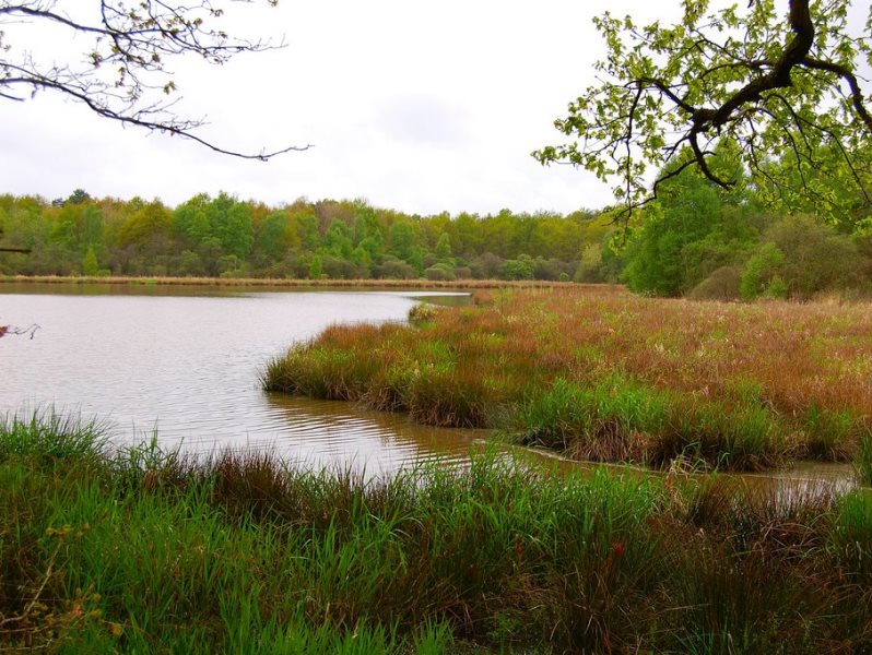 Au pays de Ménestreau, Ménestreau-en-Villette - photo 5