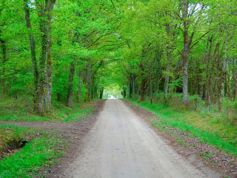 Au pays de Ménestreau, Ménestreau-en-Villette - photo 2