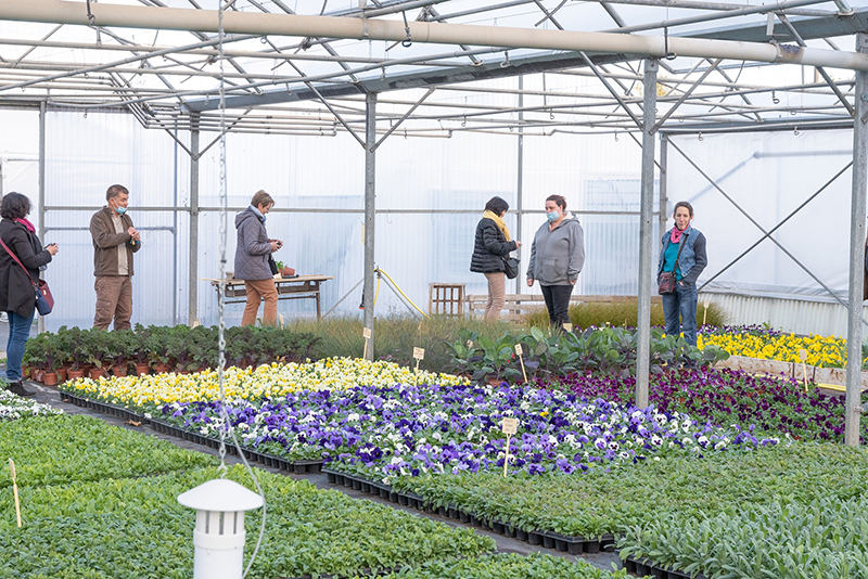Je créé mon jardin condimentaire, Châteauroux - photo 3