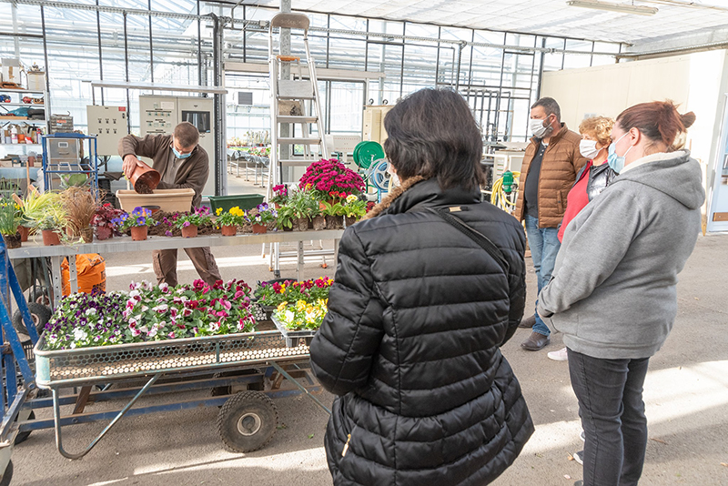 Je créé mon jardin condimentaire, Châteauroux - photo 5