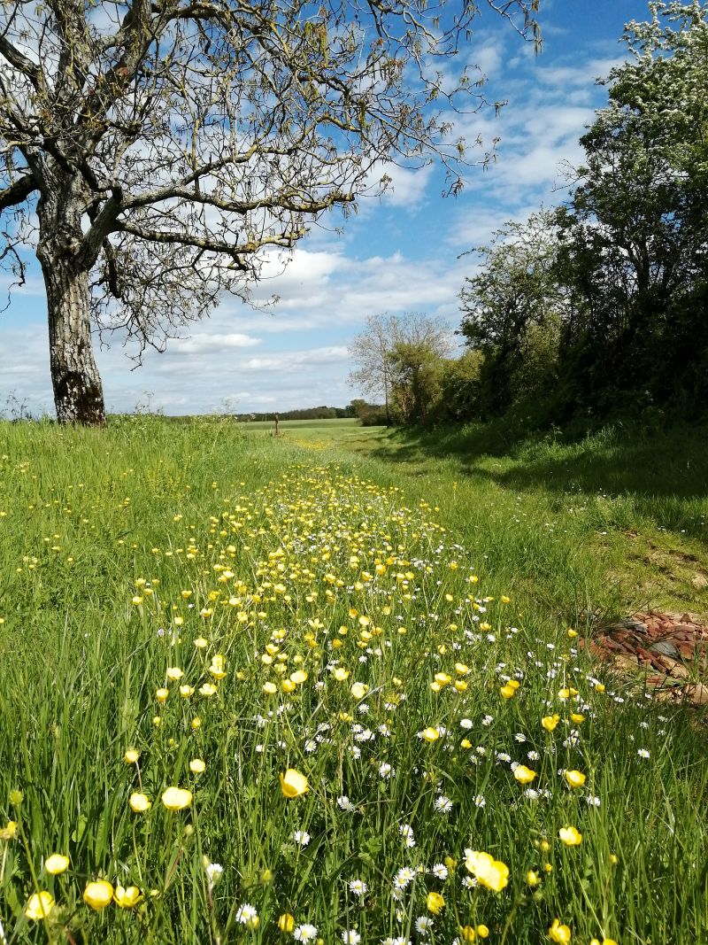 26 - Boucle du cart-au-pin - Meillant