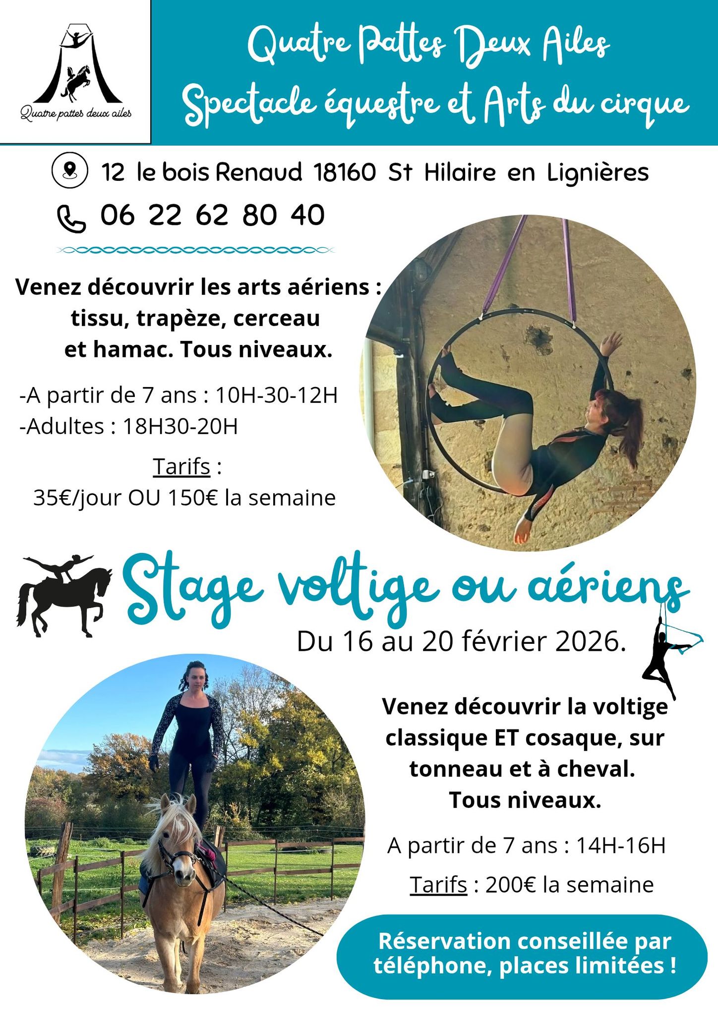 Stage voltige ou ériens