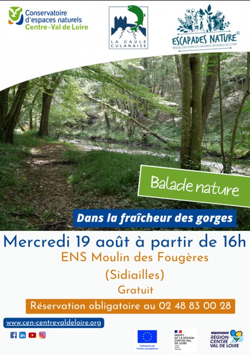 Sortie au Moulin des Fougères