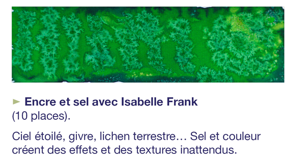 Atelier de pratiques artistiques  : Encre et sel