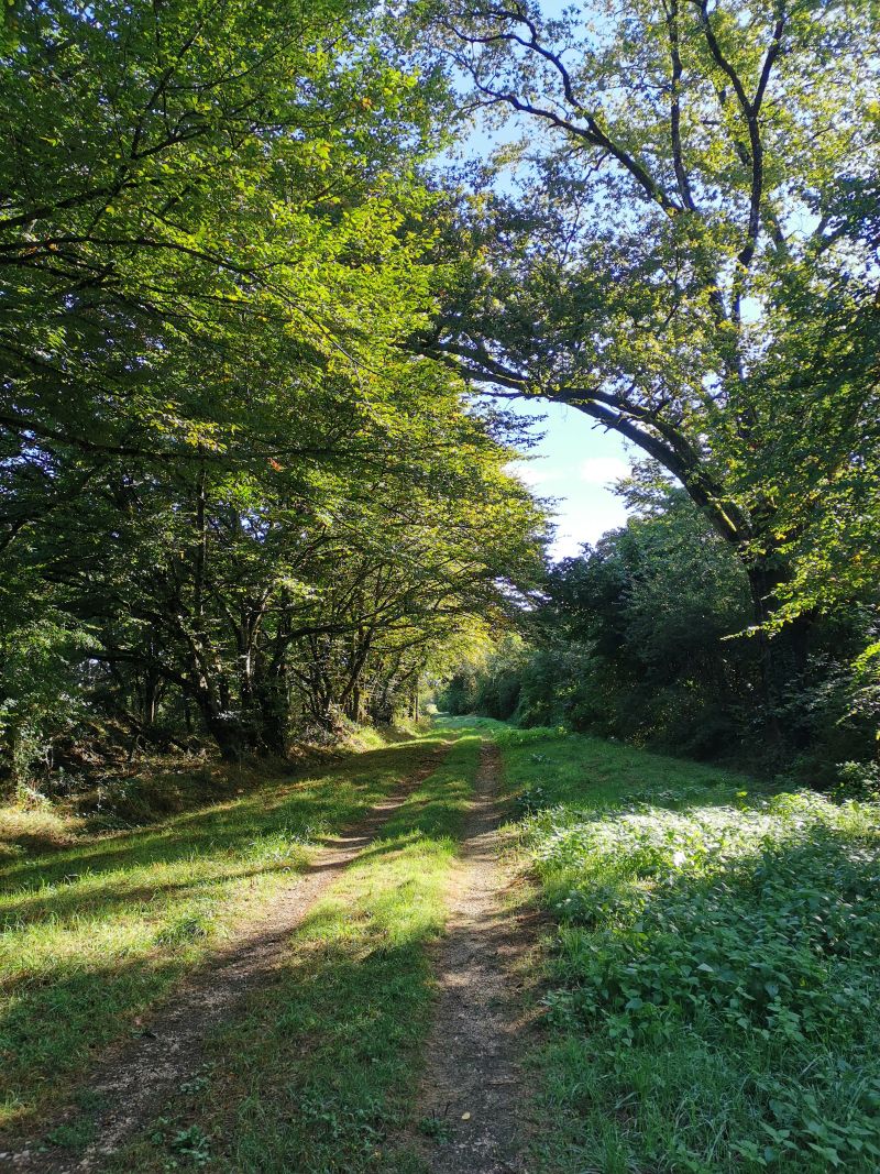 27 - Boucle des Maisons - Nozières
