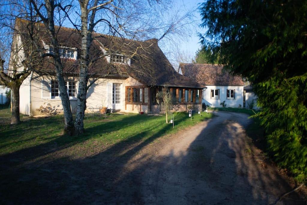 Sur la route de Chambord, Muides-sur-Loire - photo 22