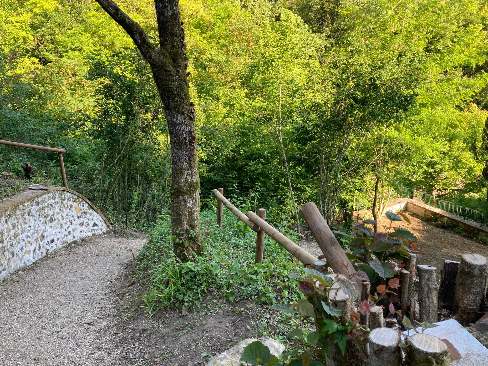 La petite terrasse du château, Lavardin - photo 11