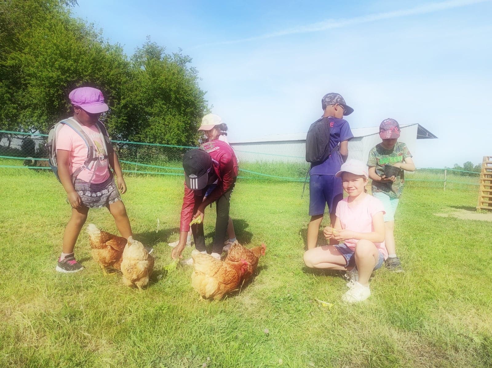 Bonnet d'âne et cerf-volant - photo 4
