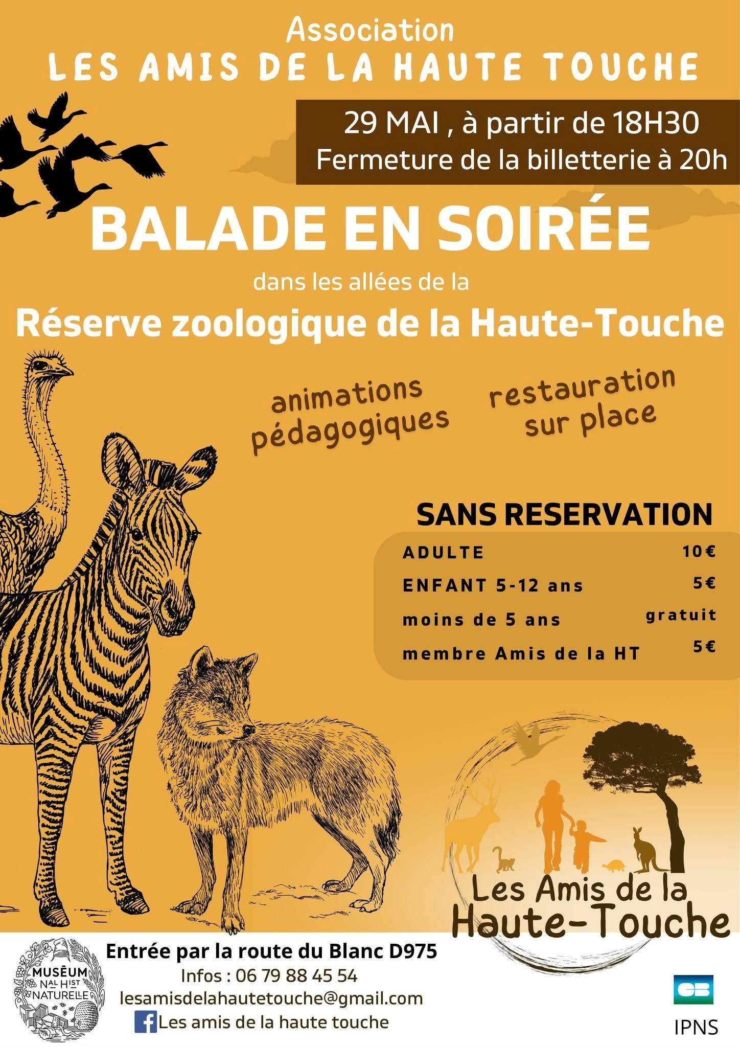 Balade en soirée — visuel événement