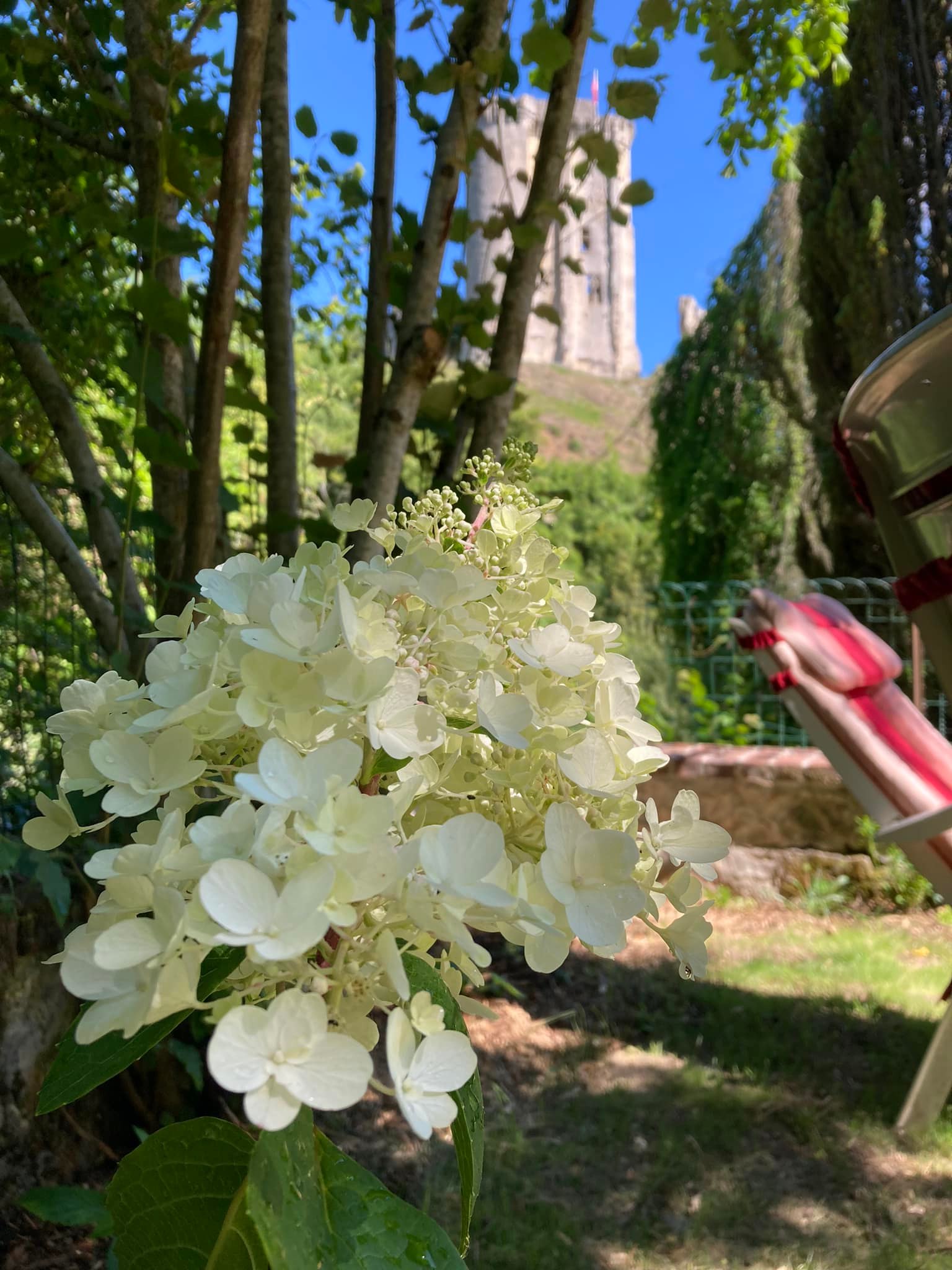 La petite terrasse du château, Lavardin - photo 8