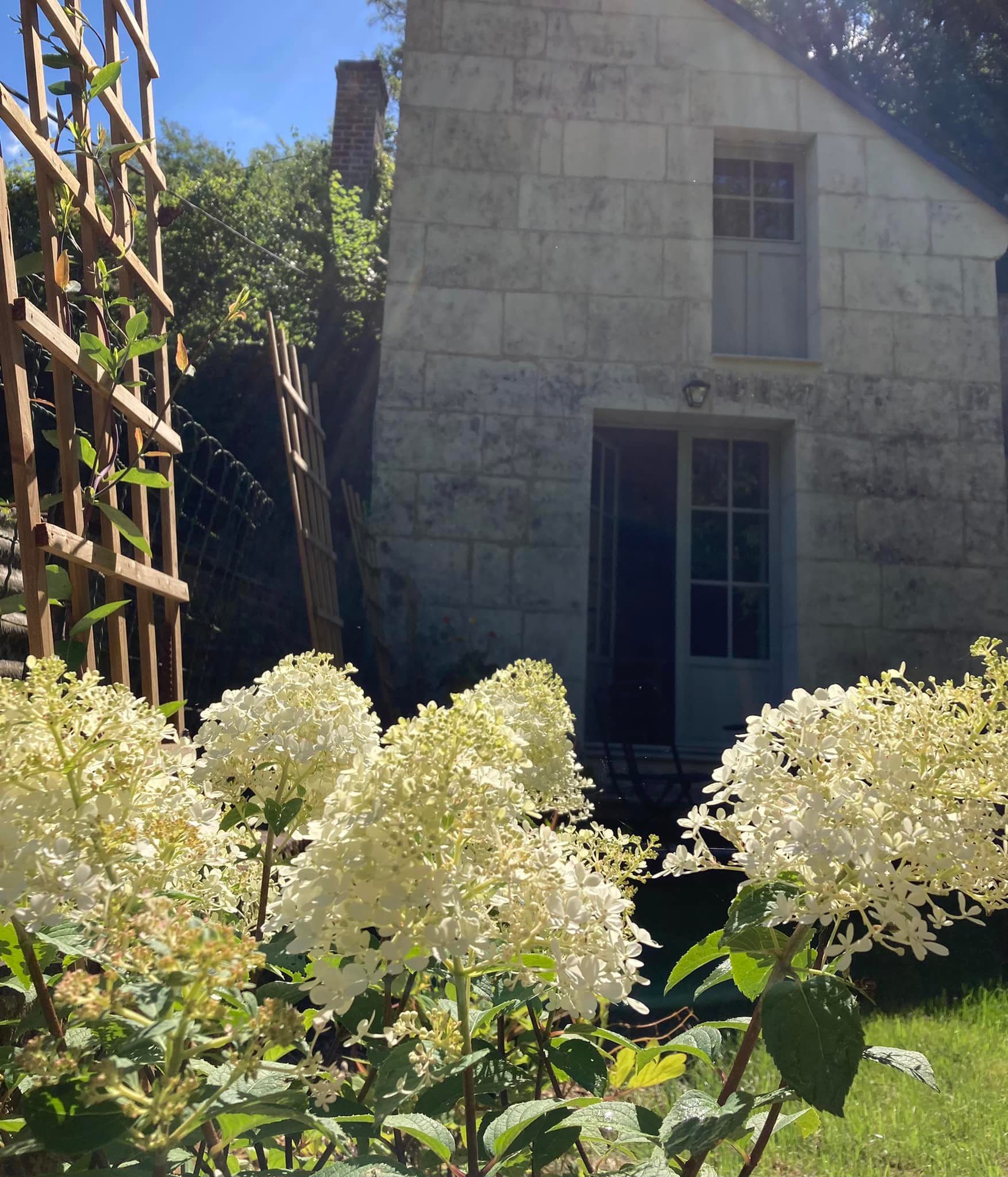 La petite terrasse du château, Lavardin - photo 13