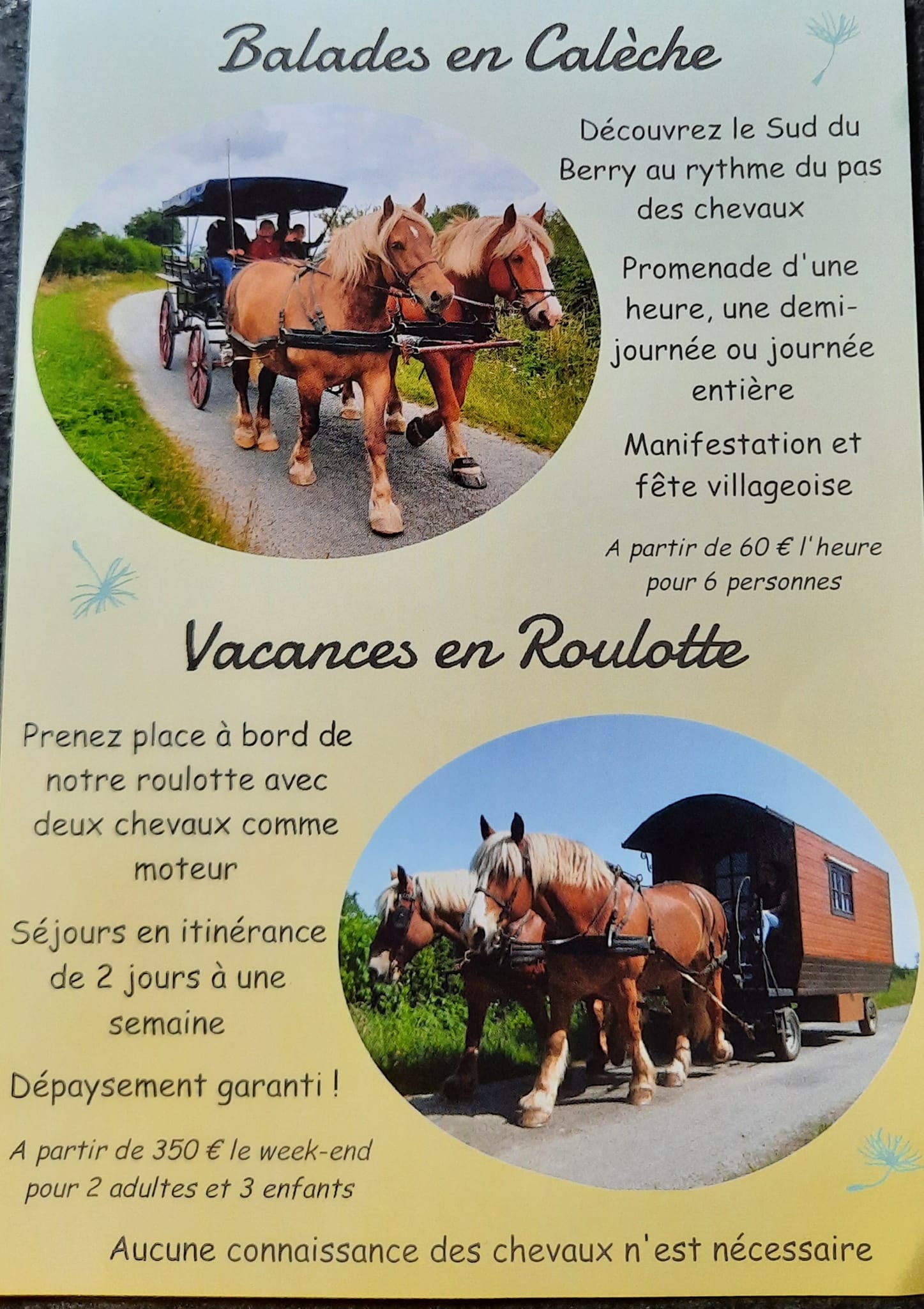 Séjour itinérant en roulotte avec 2 chevaux, Saint-Priest-la-Marche - photo 3