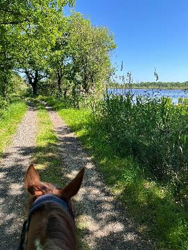 La Brenne à cheval : Grand tour des étangs de la Brenne en 3 jours par la Route d'Artagnan