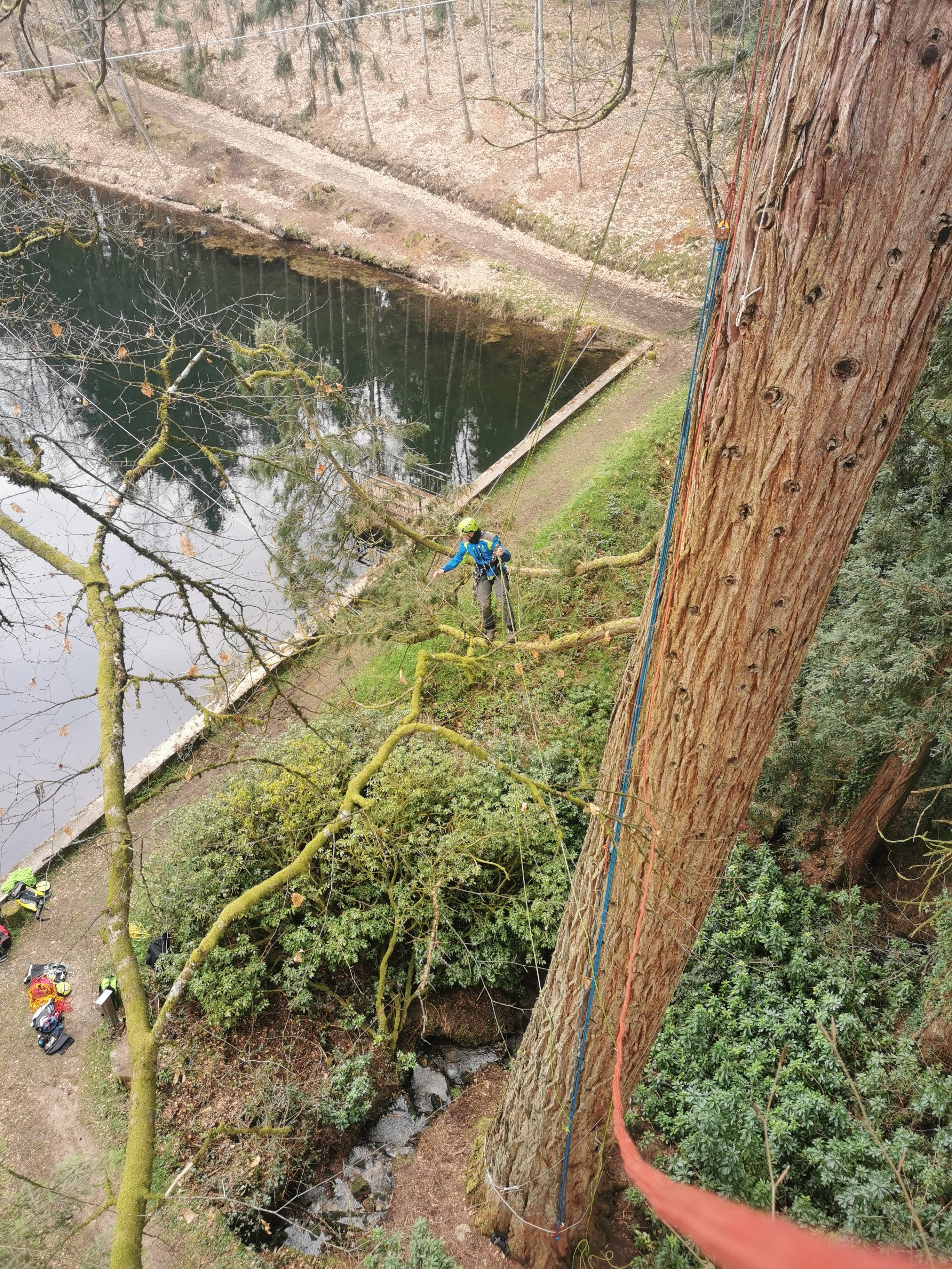 Stages à la journée "Devenir grimpeur d'arbres"