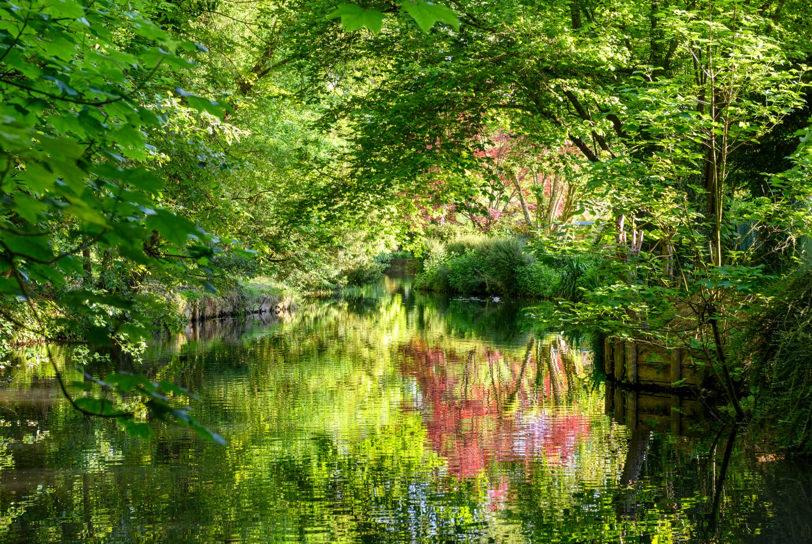 Huisseau-sur-Mauves, Huisseau-sur-Mauves - photo 2