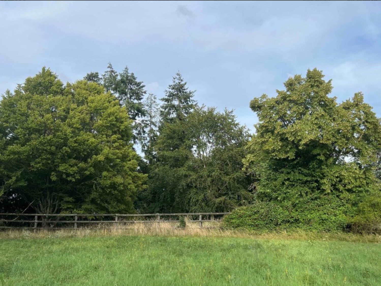 Aire de camping-car du Rêve Sauvage, Marboué - photo 2