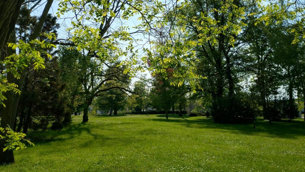 La Maison de l'Homme et de la Forêt d'Orléans, Loury - photo 6