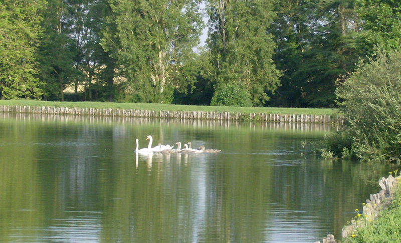 Etang des Frênes
