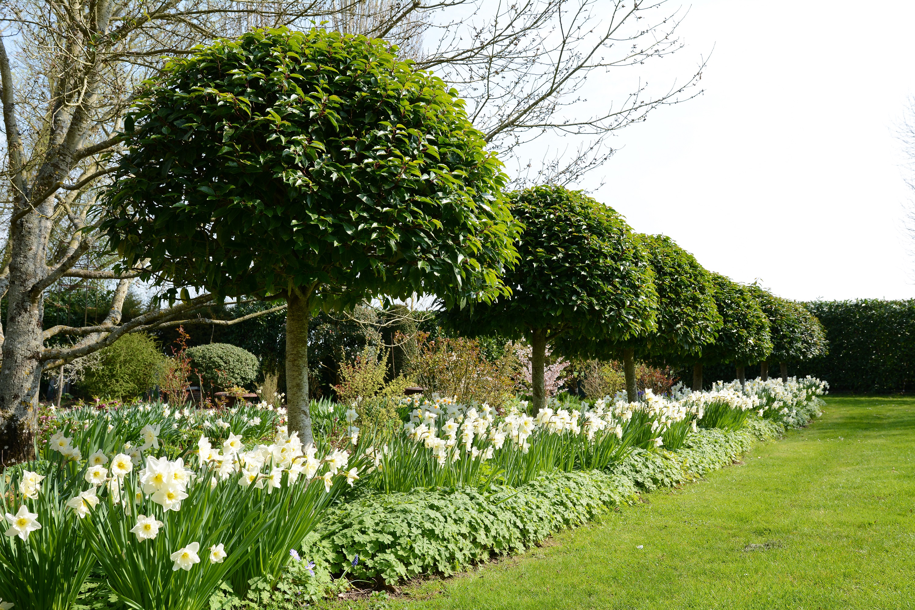Jardin de la Duchaylatière créé par Jean-Pierre Coffe, Saint-Denis-Lanneray - photo 3