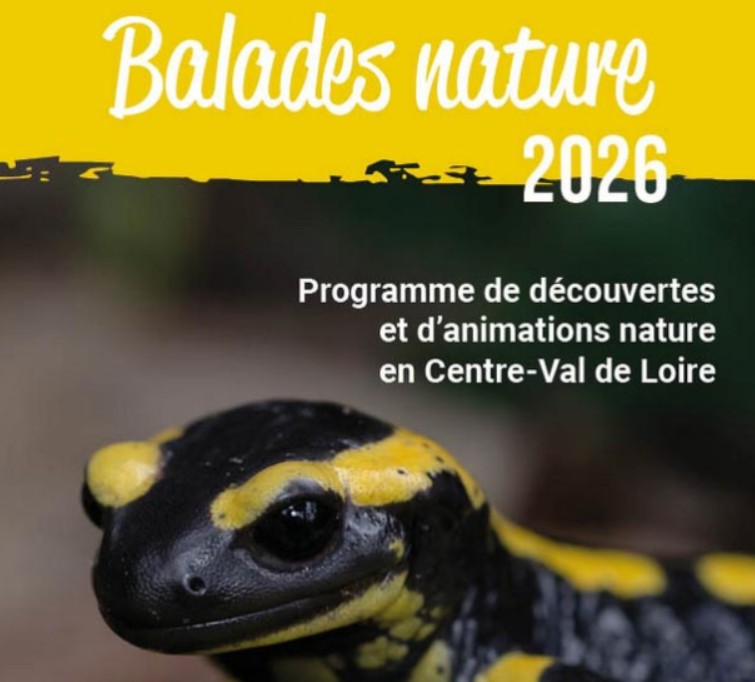 Balade nature - Les orchidées du Sancerrois