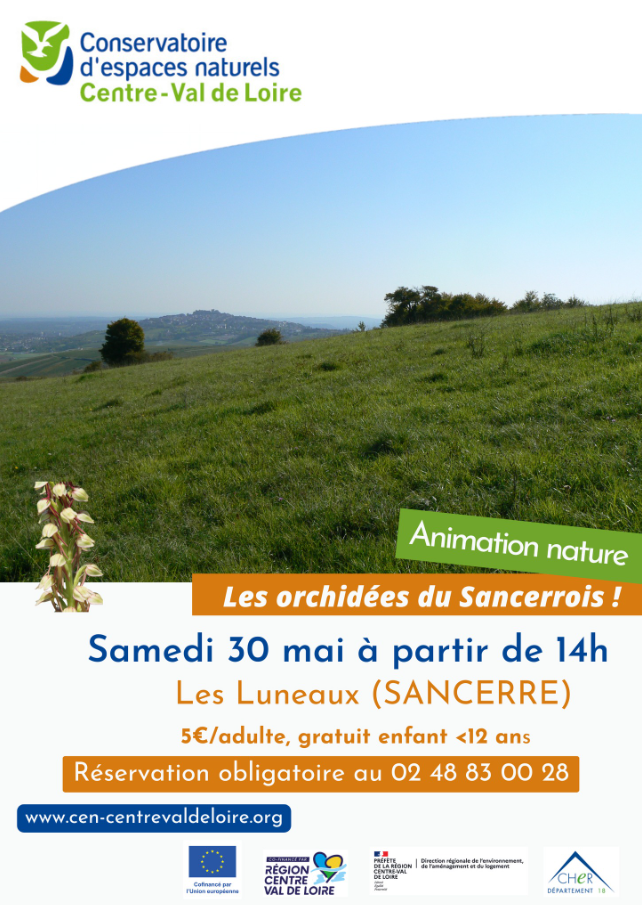 Balade nature - Les orchidées du Sancerrois — visuel événement