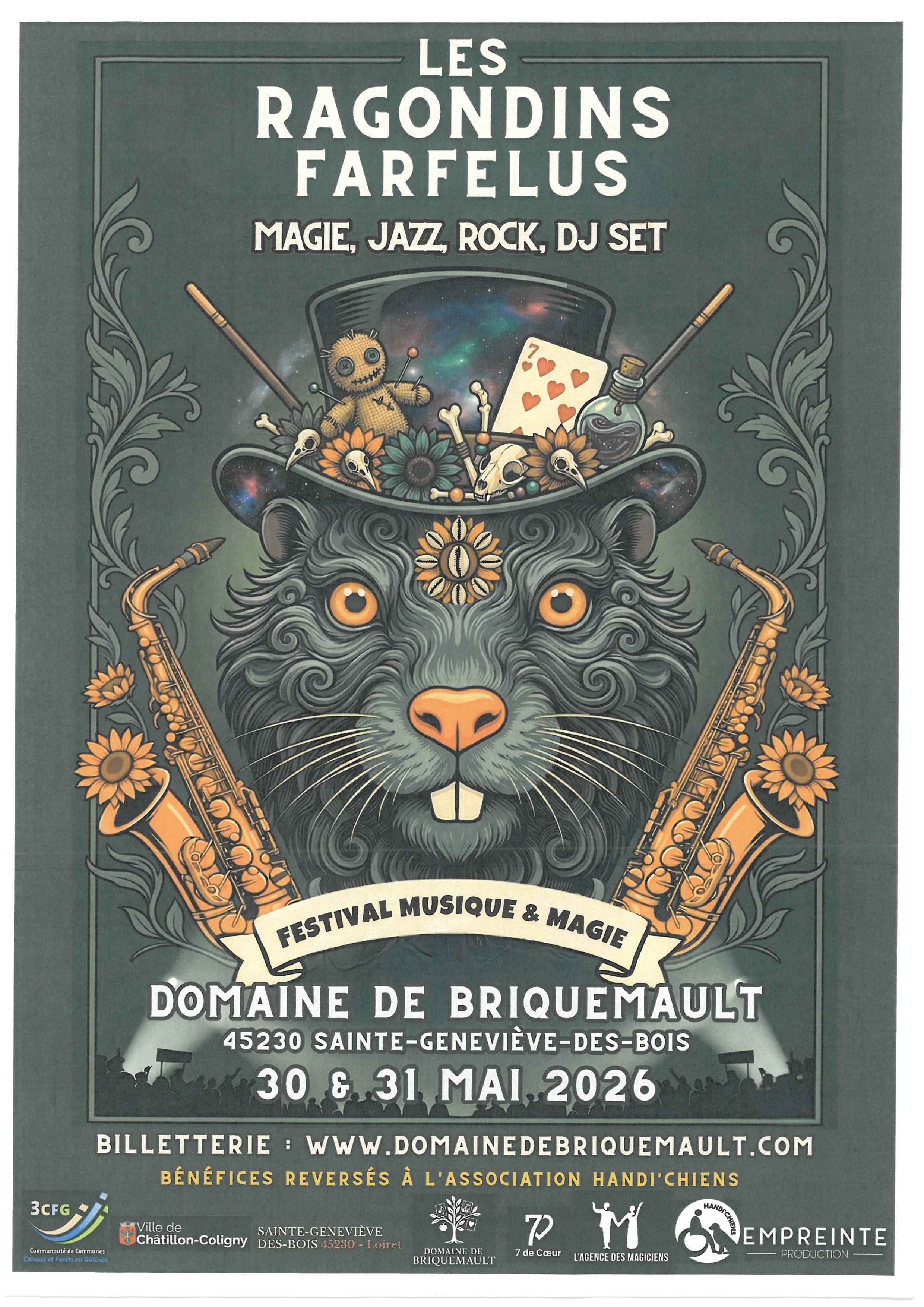 Festival de musique et de magie — visuel événement