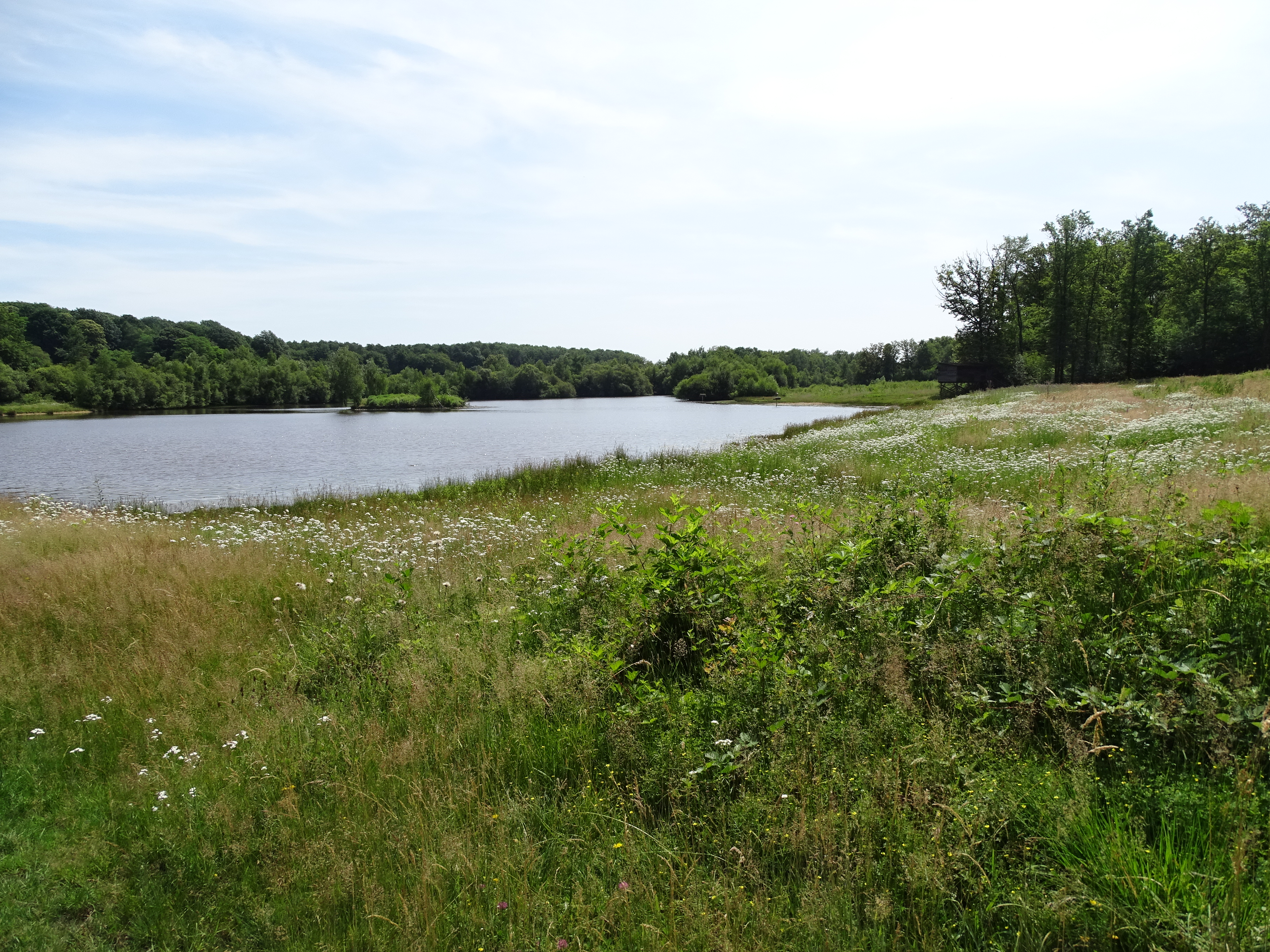 L’Espace Naturel Sensible : « Territoire des Places », Morogues - photo 4