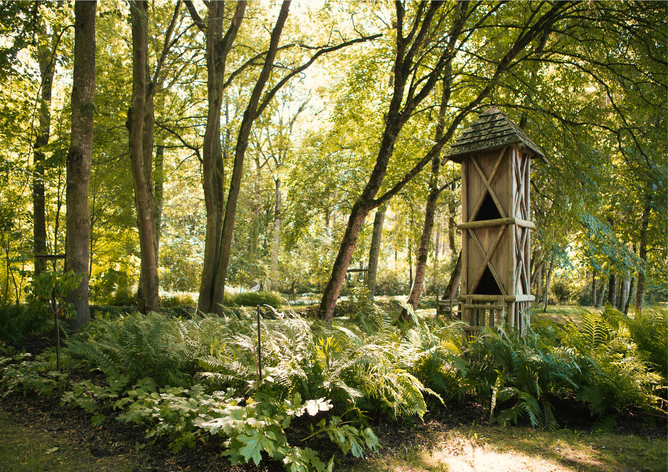 Domaine de Poulaines : Jardins et Arboretum, Poulaines - photo 11