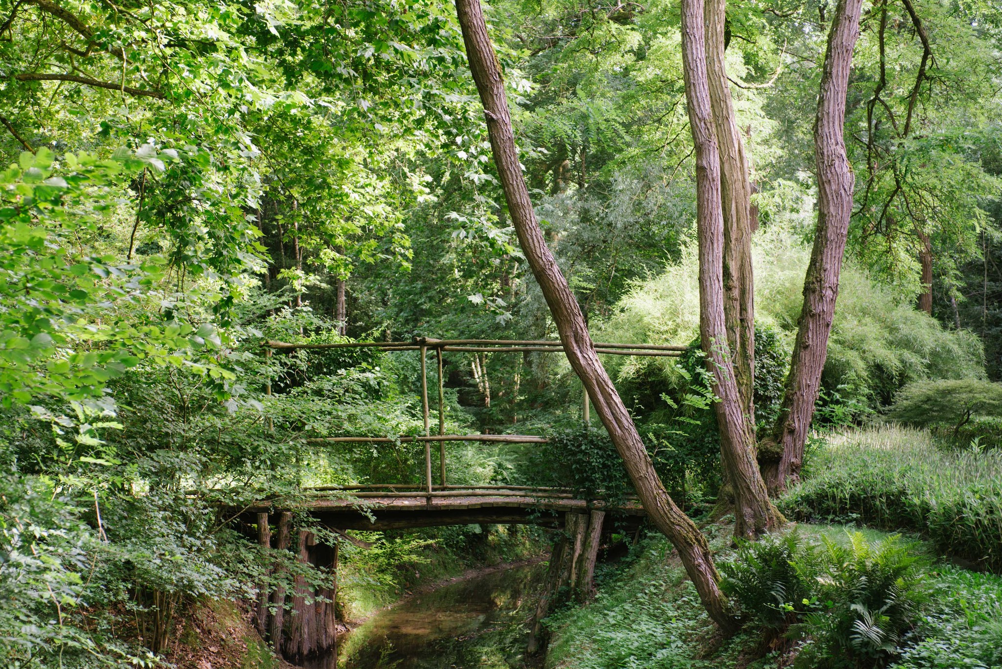 Domaine de Poulaines : Jardins et Arboretum, Poulaines - photo 6