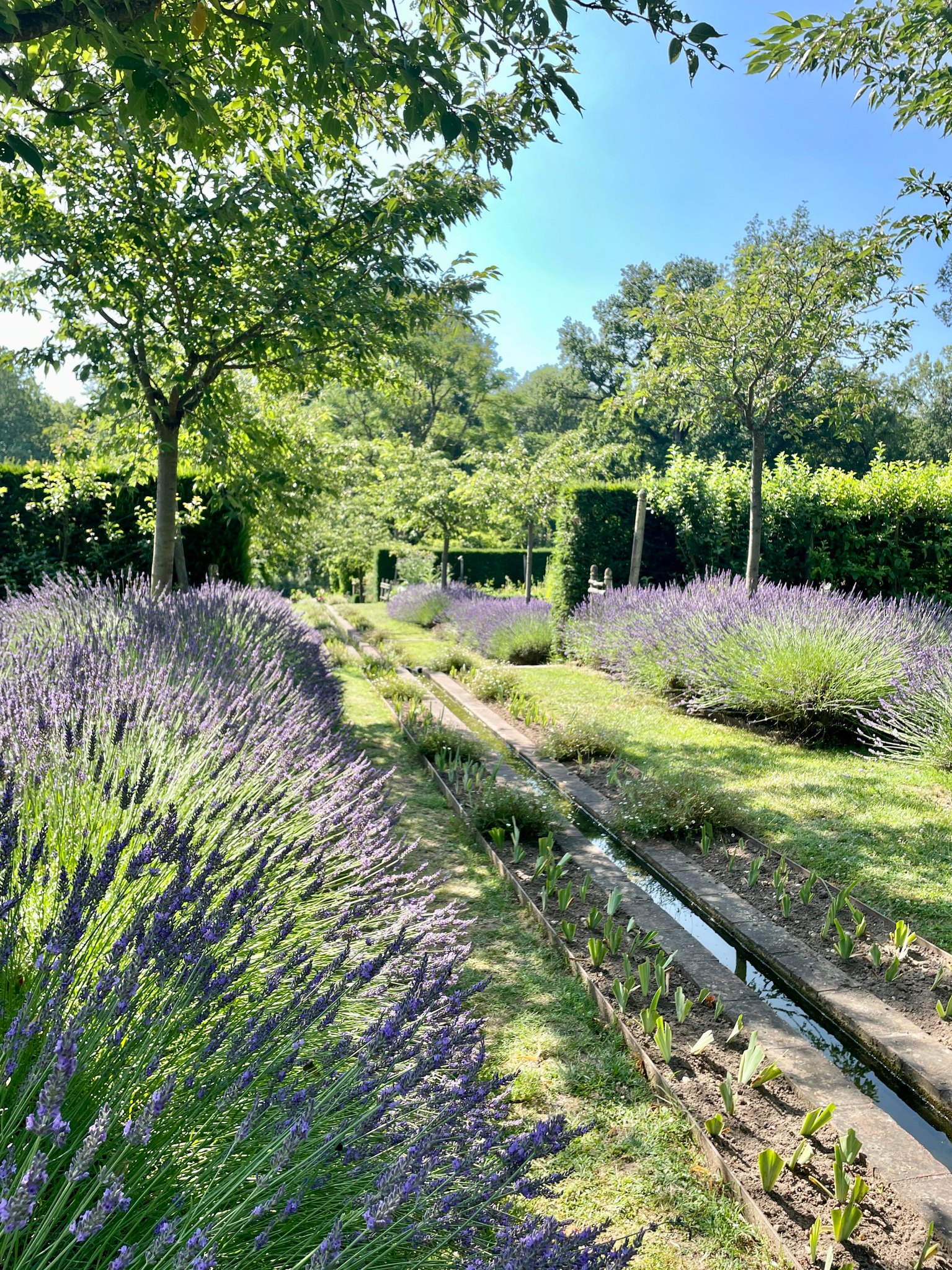 Domaine de Poulaines : Jardins et Arboretum, Poulaines - photo 3