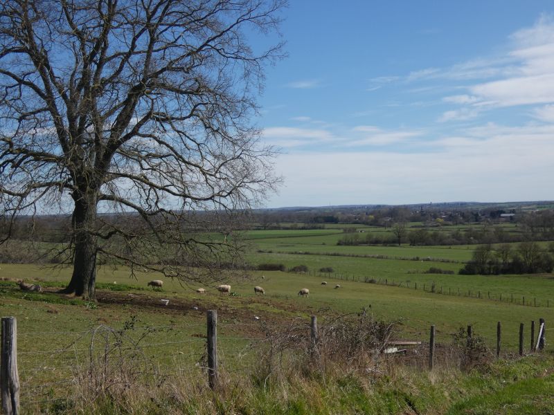 36 - Boucle du Racot - Saint-Pierre-les-Etieux