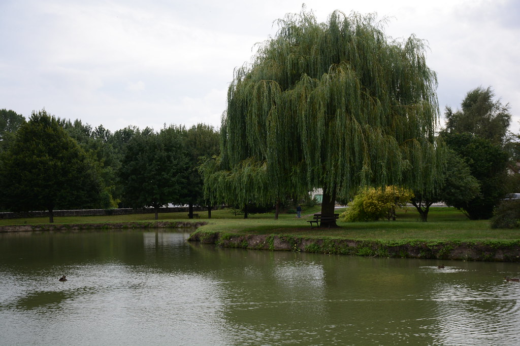 Savigny - Bertignolles