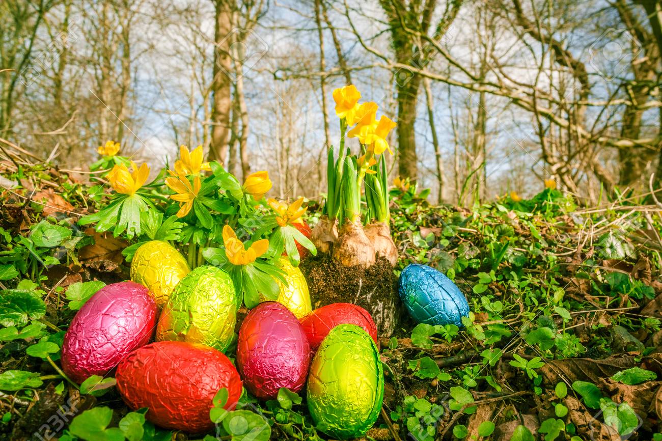Chasse aux Oeufs de Pâques à l'Étang de la Vallée, Vitry-aux-Loges - photo 2
