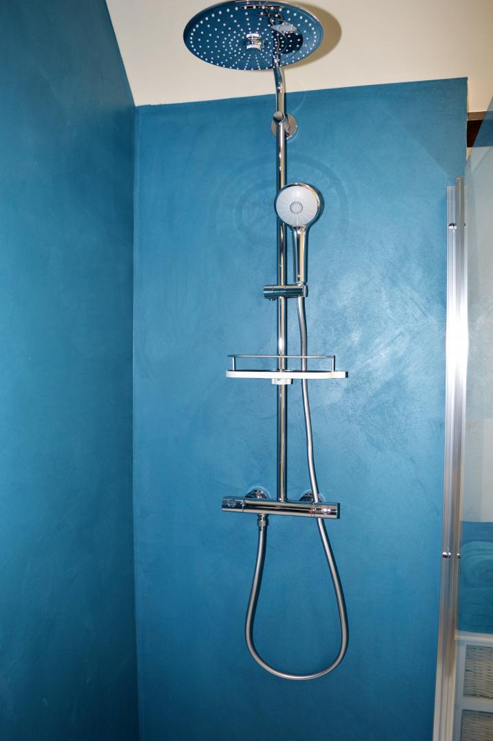 The House of Triboulet©