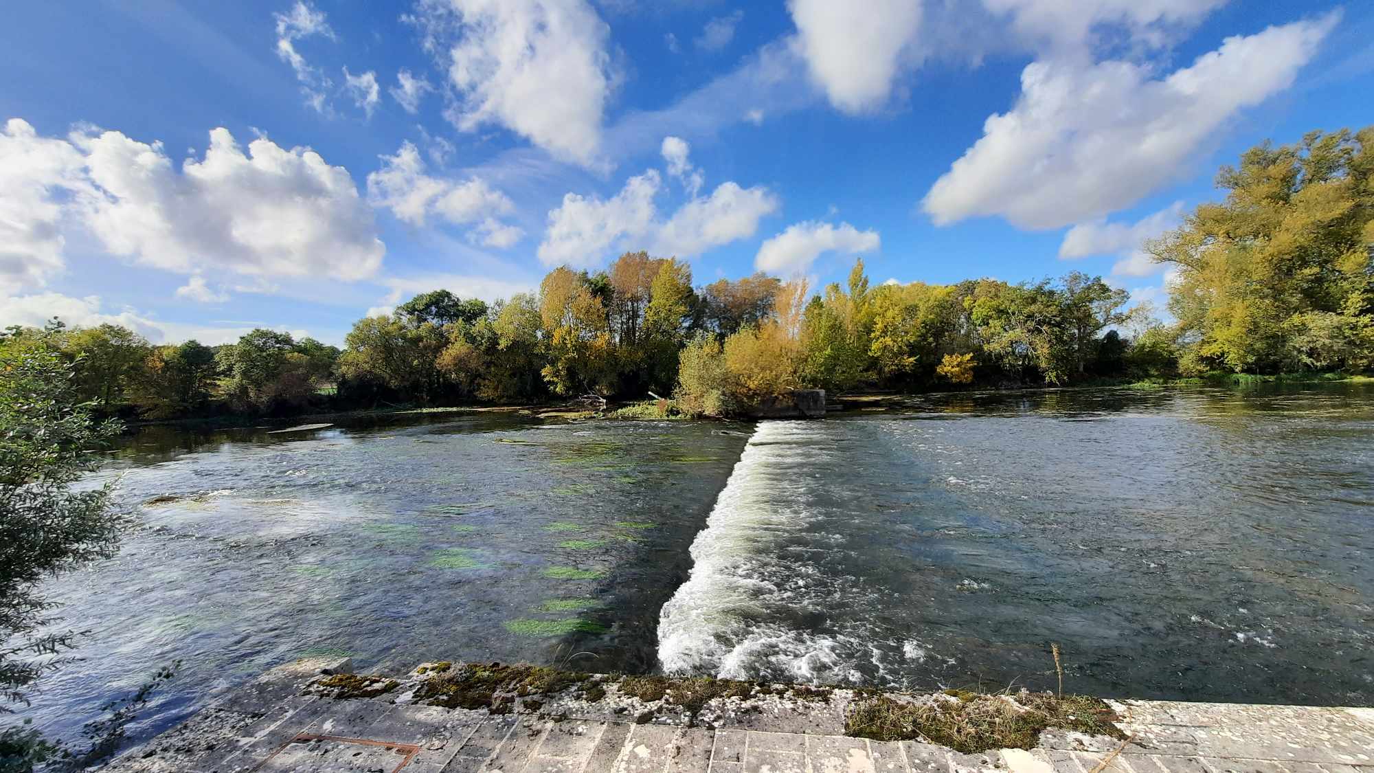 Gîte de la salamandre, Thésée