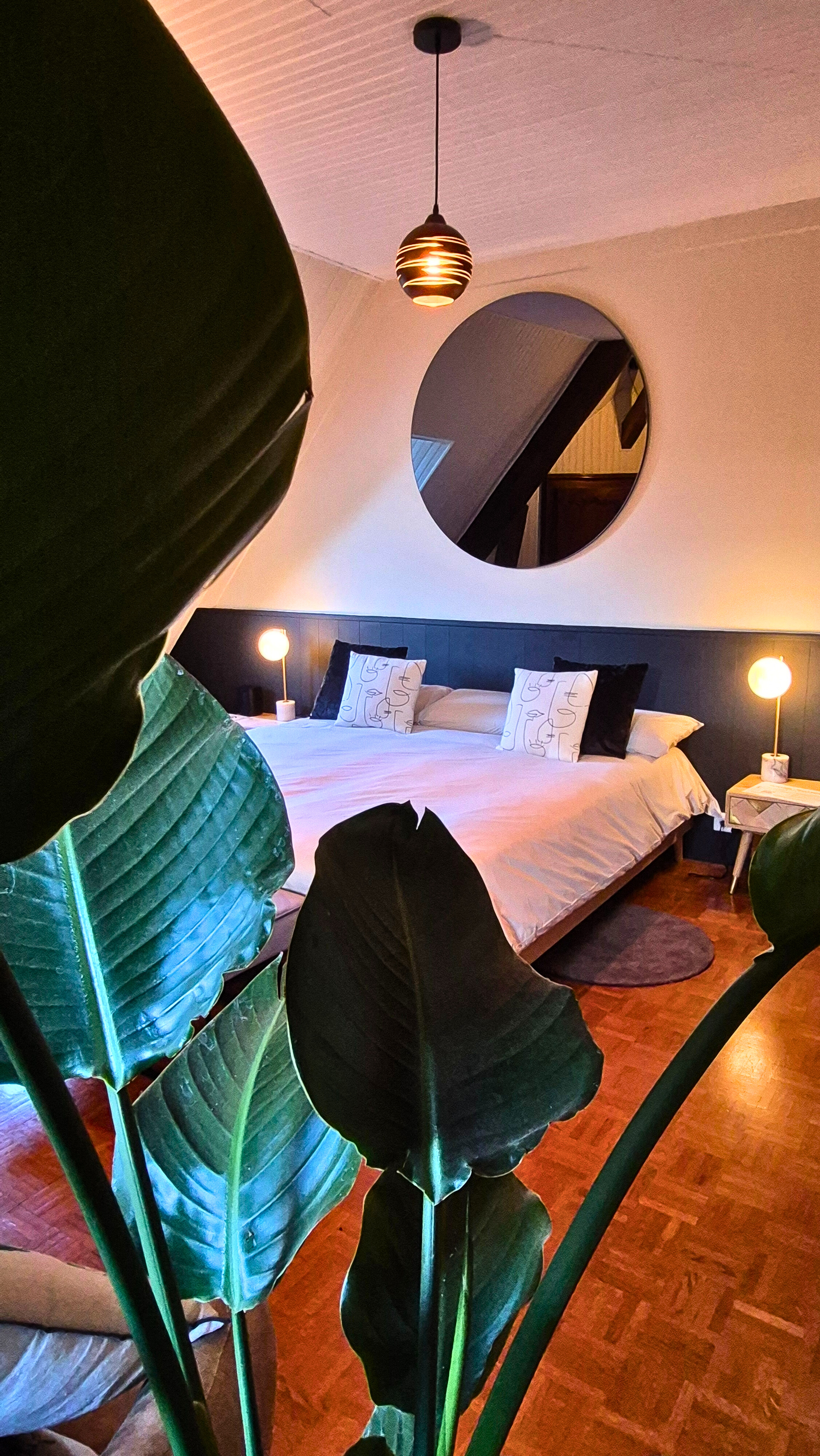 Manoir de la Sauldre, Argent-sur-Sauldre - photo 31