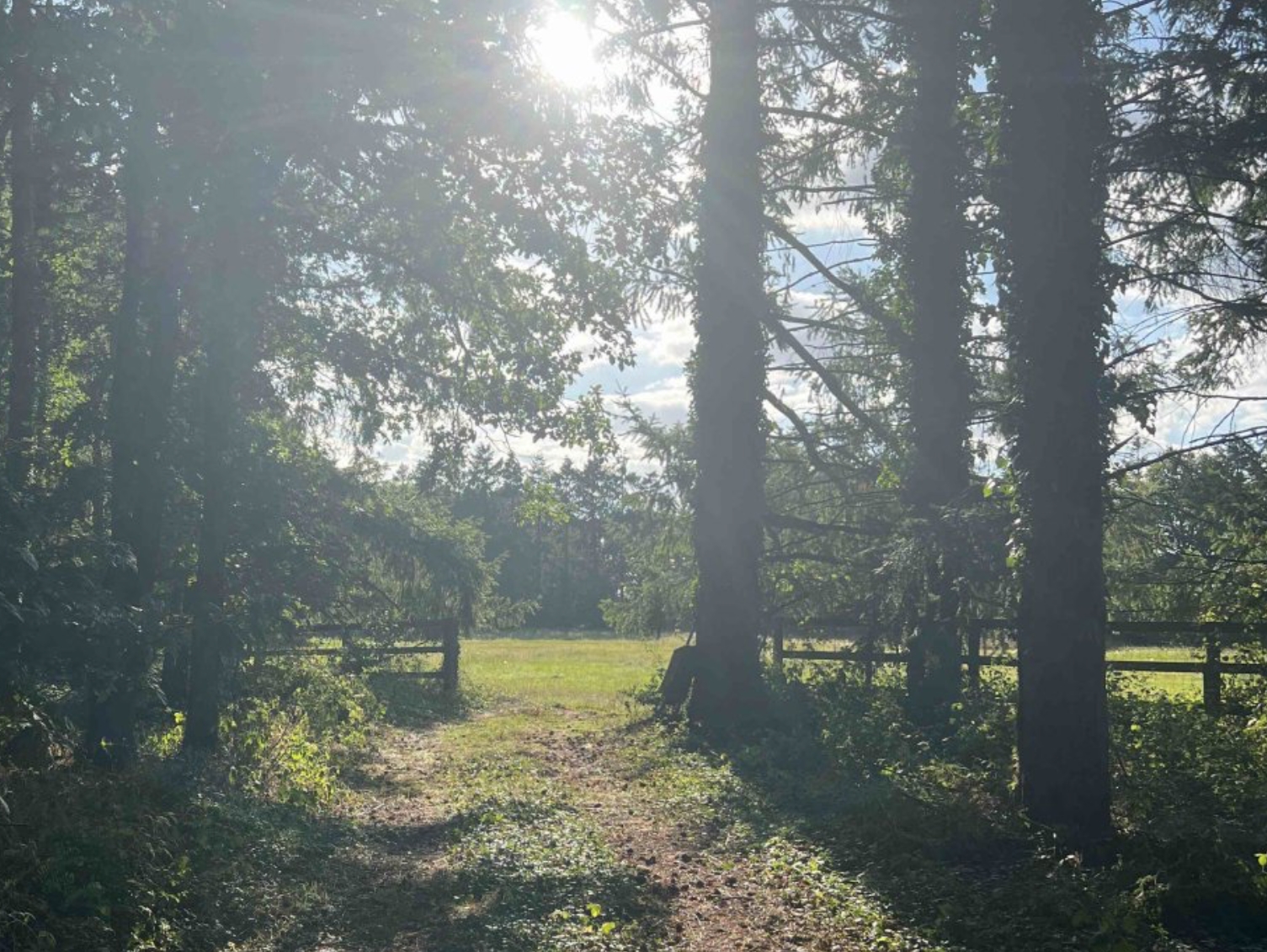 Aire de camping-car du Rêve Sauvage, Marboué - photo 3