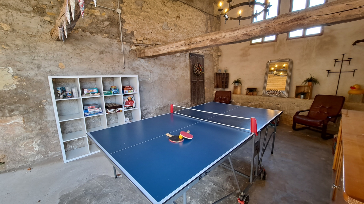 Gîte Grapevine-Angulus Ridet, Chaveignes - photo 3