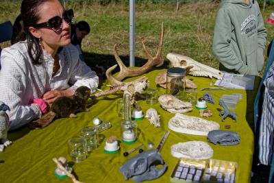 Sur la piste des animaux : empreintes et compagnie